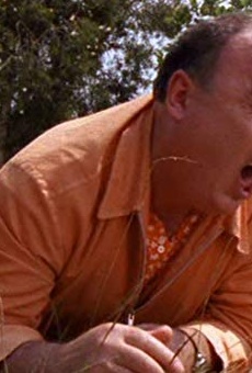 Películas de Paul Hayes