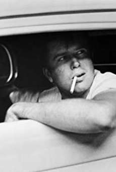 Películas de Paul Le Mat