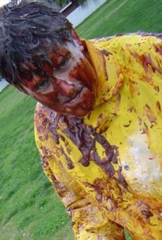 Películas de Paul Osborne