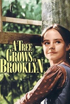 Películas de Peggy Ann Garner
