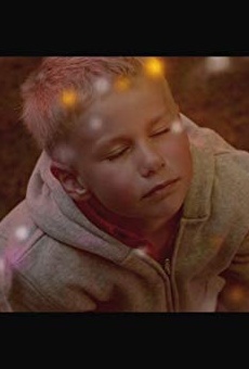 Películas de Pelle Falk Krusbæk