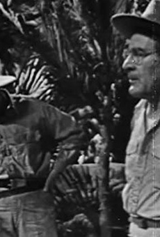 Películas de Peter Capell