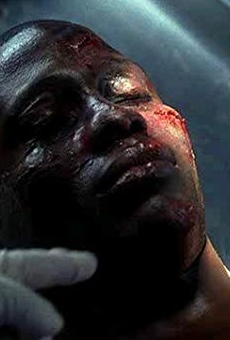 Películas de Peter Cunningham