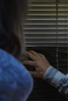 Películas de Petr Machala