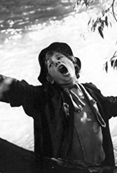 Películas de Petr Vorísek Películas de Petr Vorísek