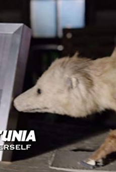 Películas de Petunia