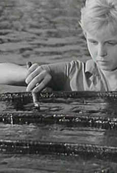 Películas de Radka Dulíková