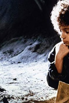 Películas de Radost Bokel