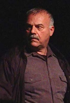 Películas de Ralph A. Villani