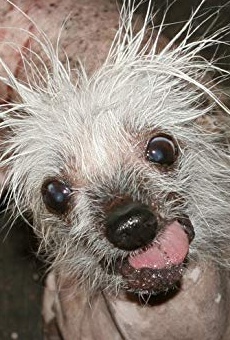 Películas de Rascal The World's Ugliest Dog