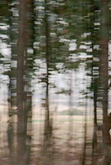 Películas de Rasselas Lakew