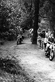 Películas de Ray Cantrell