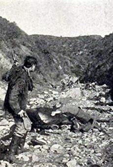 Películas de Ray Myers