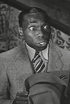 Películas de Ray Turner