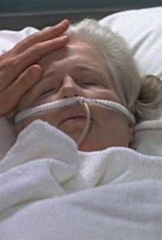 Películas de Rebecca Toolan