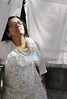 Películas de Regina Casé