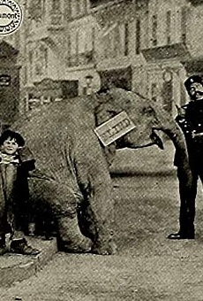 Películas de René Poyen