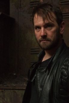 Películas de René Zimmermann