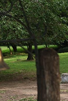 Películas de Renzo Sabelli Películas de Renzo Sabelli