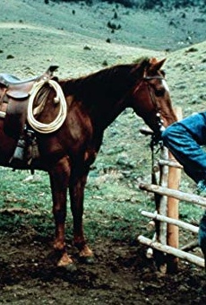 Películas de Richard Bright