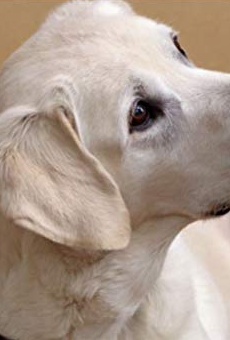 Películas de Riley the Dog