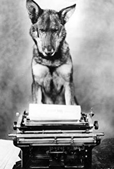 Películas de Rin Tin Tin