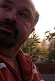 Películas de Robert Costanzo