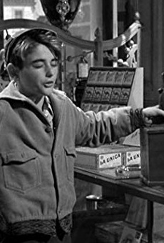 Películas de Robert J. Anderson