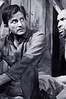 Películas de Robert Knapp