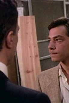 Películas de Robert Romanus