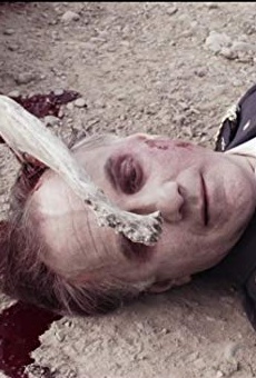 Películas de Robert Shampain