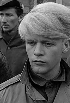 Películas de Robert Shawley