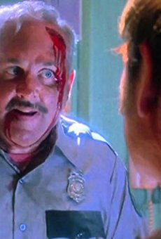 Películas de Robert Swan