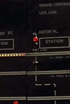 Películas de Robert Weil