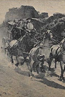 Películas de Rocky Shahan