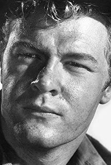 Películas de Roger Torrey Películas de Roger Torrey