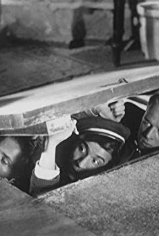 Películas de Roland Varno