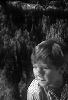 Películas de Roman Borovkov Películas de Roman Borovkov