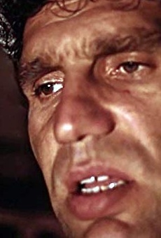 Películas de Roman Gromadskiy