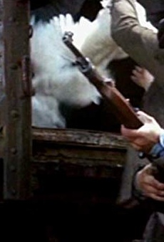 Películas de Roman Skamene