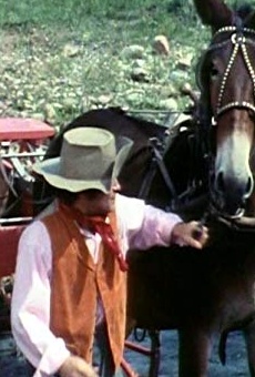 Películas de Roscoe (2)