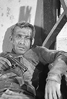 Películas de Rudolf Jelínek