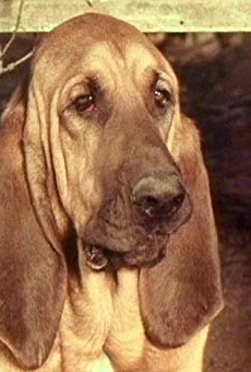 Películas de Rufus (2) Películas de Rufus (2)