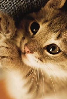 Películas de Rui Qin