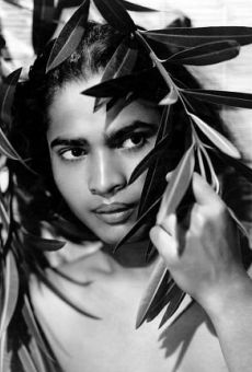 Películas de SABU (2)