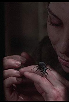 Películas de Sally Brown