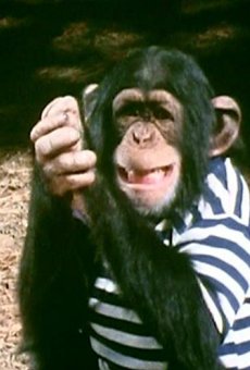 Películas de Sally (2)