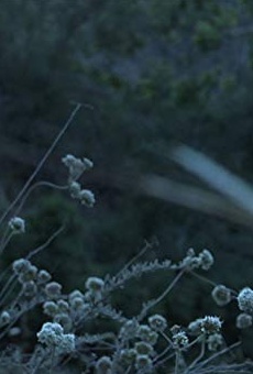 Películas de Scott Brazee