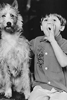 Películas de Seth Mumy