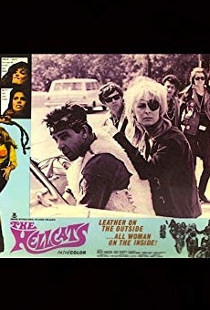 Películas de Shannon Summers